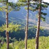 2012.01.21. - Golden Beach, Hegyek